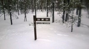 Sign by the Bear Path, located right on the Arctic Circle!
